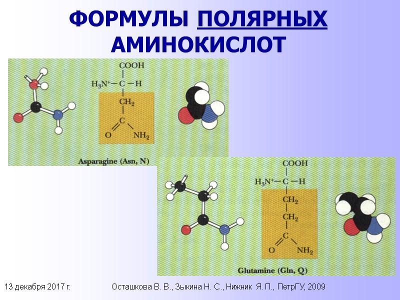13 декабря 2017 г. Осташкова В. В., Зыкина Н. С., Нижник Я. П., ПетрГУ,